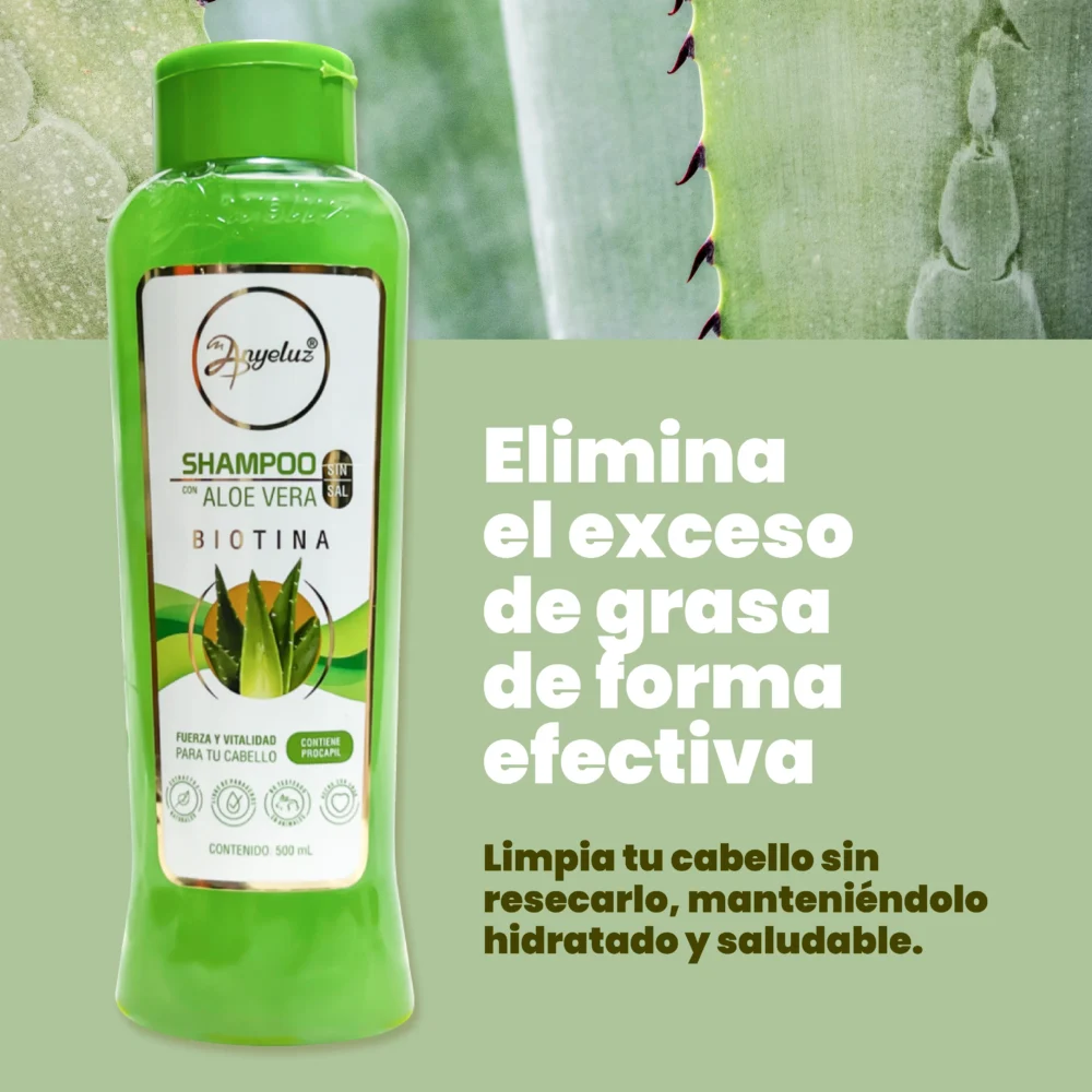Shampoo con aloe vera para cabello graso Anyeluz - Imagen 3