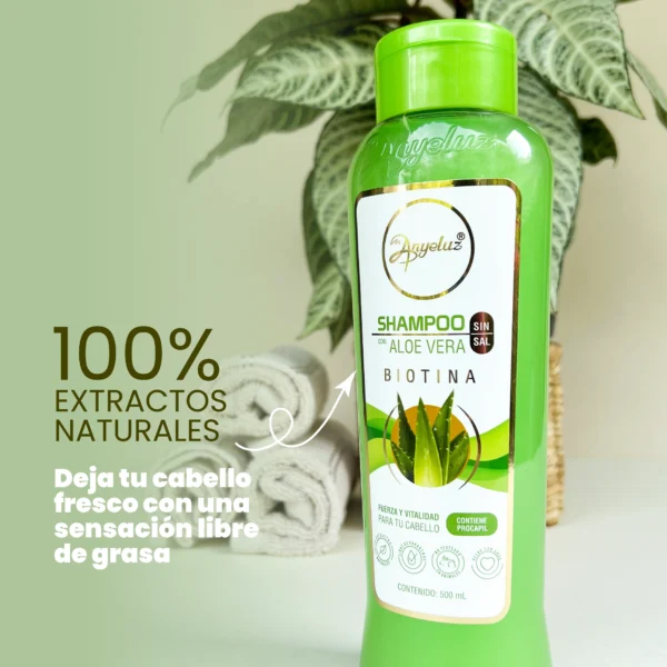 Shampoo con aloe vera para cabello graso Anyeluz