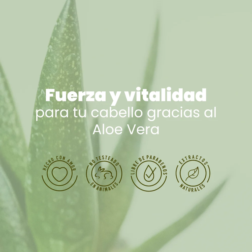 Shampoo con aloe vera para cabello graso Anyeluz - Imagen 4