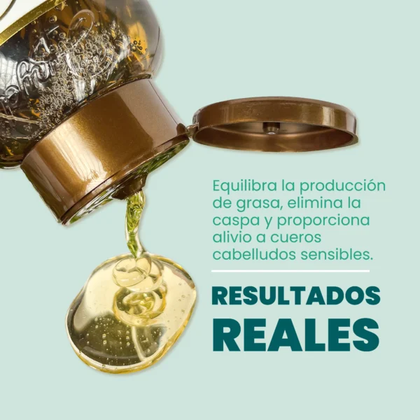 Shampoo Con Romero Anyeluz Anyeluz